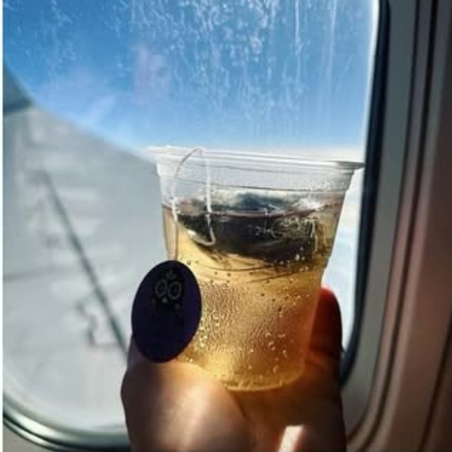 Moscow Mule Cocktail Infusion Kits | Travel-Friendly Mixers