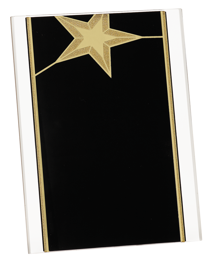 6 x 8 Black/Gold Star Acrylic Stand Up Plaque with Easel